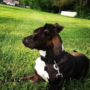 Meet your Posher, Addyson